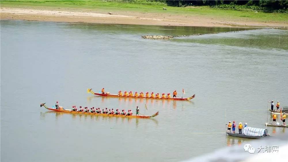 今天下午龙舟赛在大埔高陂的韩江上举行 - 客家