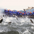 杭州：千岛湖再现“巨网捕鱼”盛景